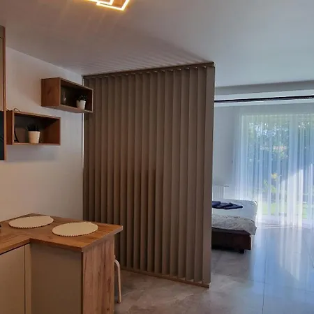 Apartament-studio *